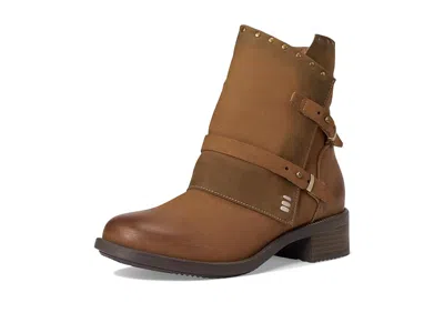 David Tate Spectacular In Brown