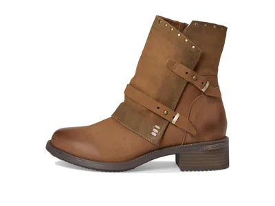 David Tate Spectacular In Brown