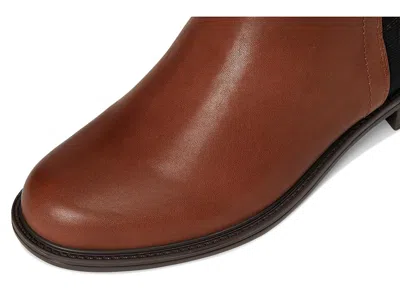 David Tate Clone In Brown