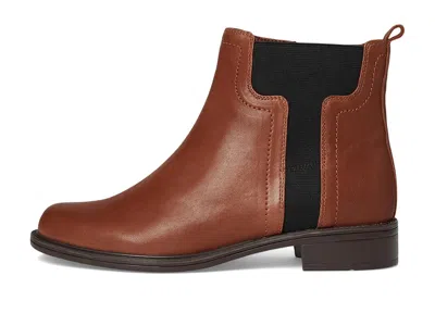 David Tate Clone In Brown