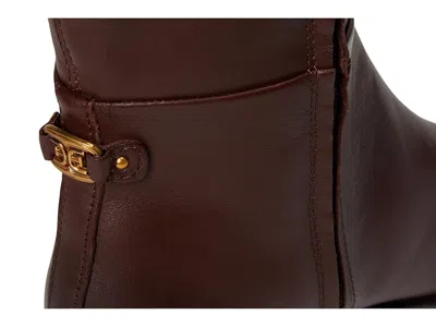 Sam Edelman Milla Knee High Boot In Brown