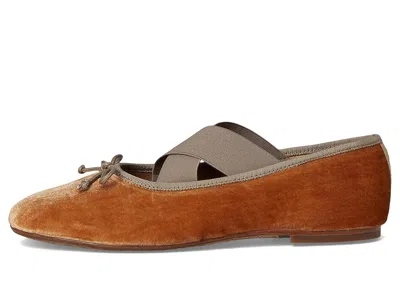 Sam Edelman Arya Ballet Flat In Brown