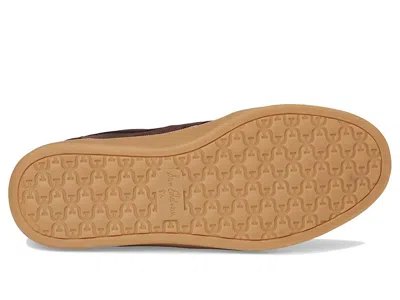 Sam Edelman Althea Sneaker In Brown