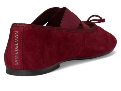 Sam Edelman Arya Ballet Flat In Burgundy