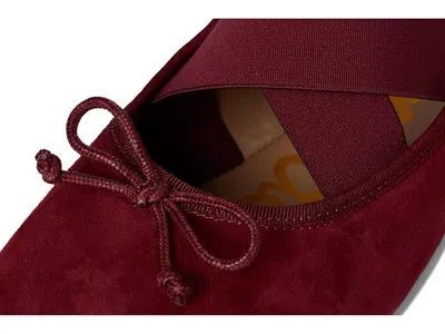 Sam Edelman Arya Ballet Flat In Burgundy