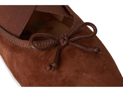 Sam Edelman Arya Ballet Flats In Brown