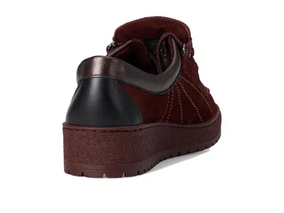 Mephisto Lady In Multi