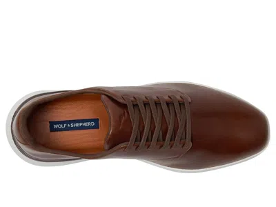 Wolf & Shepherd Crossover Derby In Brown