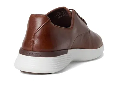 Wolf & Shepherd Crossover Derby In Brown