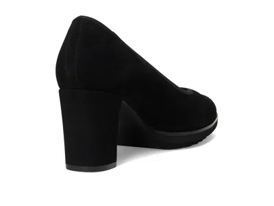 Vaneli Dazzle In Black