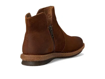 Born Taj In Brown