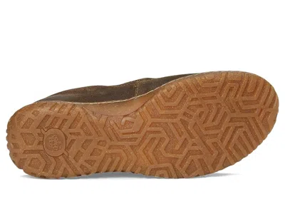 Born Breck In Brown