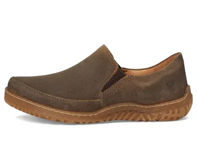 Born Breck In Brown