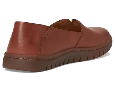 Born Sebra Ii High In Brown