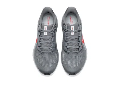 Nike Pegasus 41 In Gray