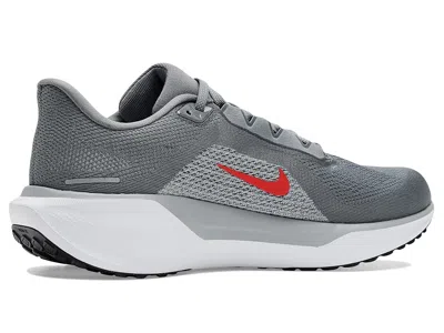 Nike Pegasus 41 In Gray