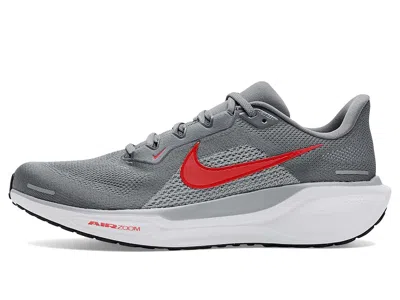 Nike Pegasus 41 In Gray