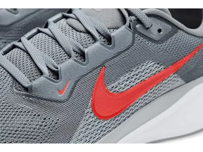 Nike Pegasus 41 In Gray