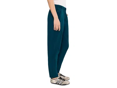 Brooks Canopy Pants In Blue