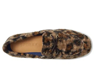 Sperry Slimboat