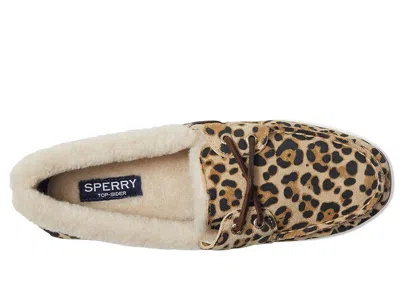 Sperry Ao 2 Eye