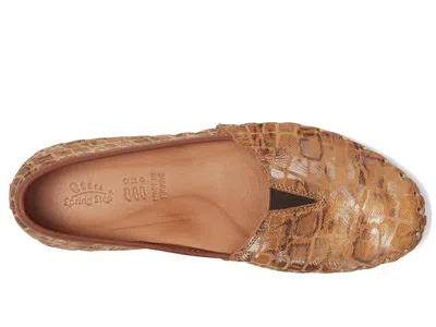 Spring Step Kathaleta-spice In Brown