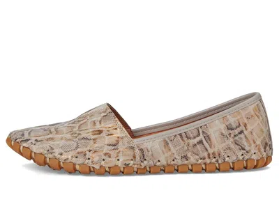 Spring Step Kathaleta-spice In Gray