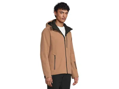 Bogner Eason3-t In Brown