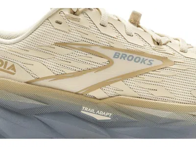 Brooks Cascadia 19 In Multi