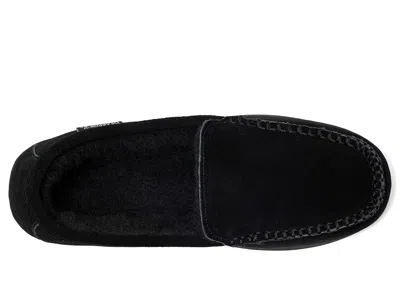Bearpaw Brian In Black