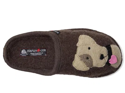 Haflinger Rudi In Brown