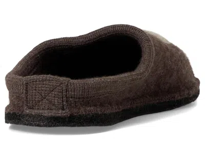 Haflinger Rudi In Brown
