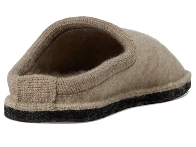 Haflinger Wine Time In Sand