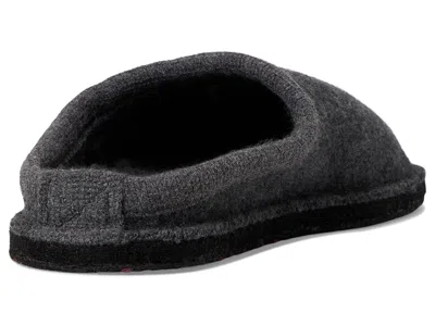 Haflinger Wine Time In Gray