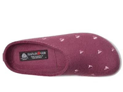 Haflinger Cuorcini In Multi