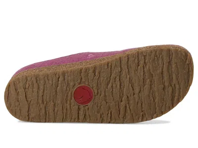 Haflinger Cuorcini In Multi