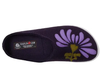 Haflinger Blooming In Multi