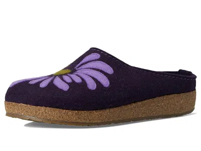 Haflinger Blooming In Multi
