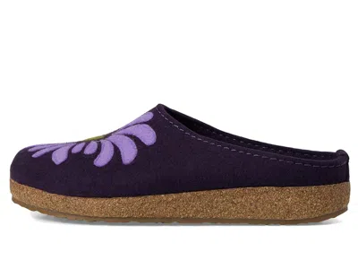 Haflinger Blooming In Multi