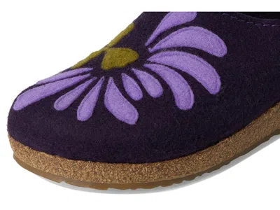 Haflinger Blooming In Multi