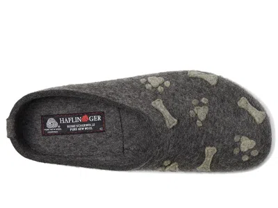 Haflinger Doodle In Gray