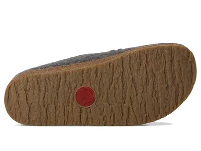 Haflinger Doodle In Gray