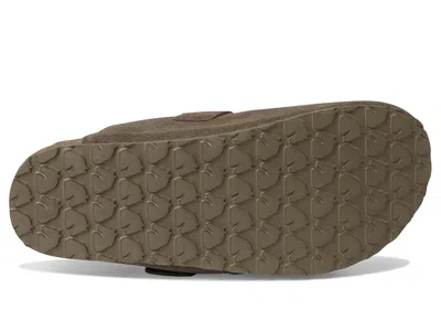 Haflinger Hawk In Brown