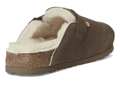 Haflinger Hawk In Brown