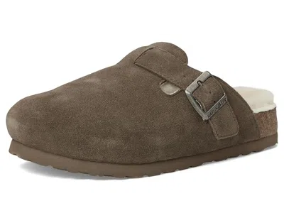 Haflinger Hawk In Brown