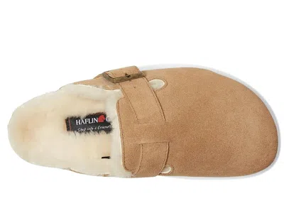 Haflinger Hawk In Brown