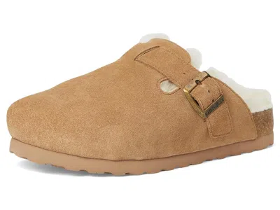 Haflinger Hawk In Brown