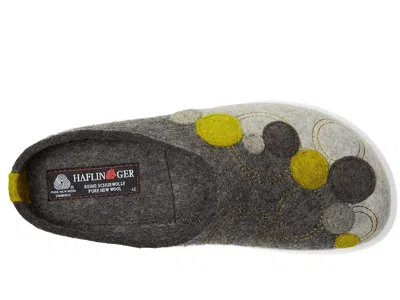 Haflinger Fizz In Multi