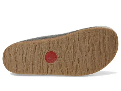 Haflinger Fizz In Multi
