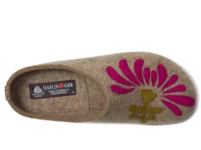 Haflinger Blooming In Brown